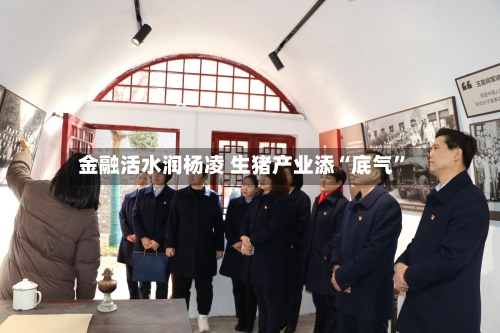 金融活水润杨凌 生猪产业添“底气”