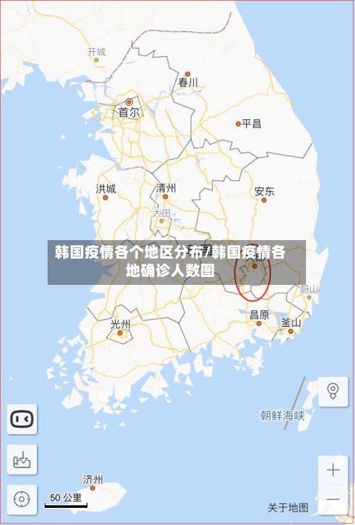 韩国疫情各个地区分布/韩国疫情各地确诊人数图