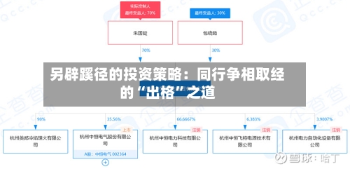 另辟蹊径的投资策略：同行争相取经的“出格”之道