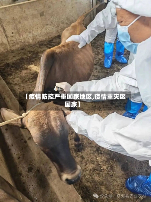 【疫情防控严重国家地区,疫情重灾区国家】