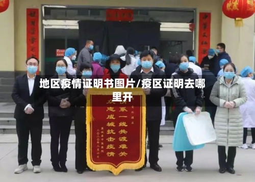 地区疫情证明书图片/疫区证明去哪里开