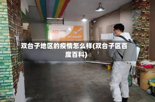双台子地区的疫情怎么样(双台子区百度百科)