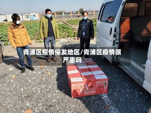 青浦区疫情停发地区/青浦区疫情很严重吗
