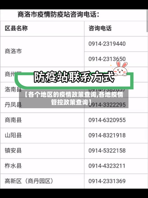 【各个地区的疫情政策查询,各地疫情管控政策查询】