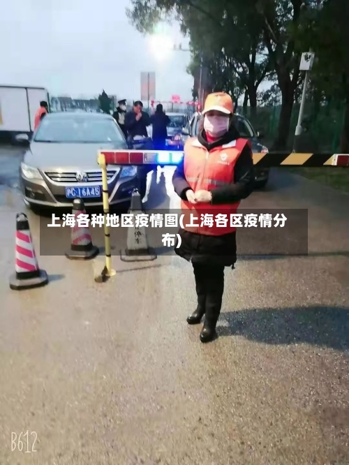 上海各种地区疫情图(上海各区疫情分布)